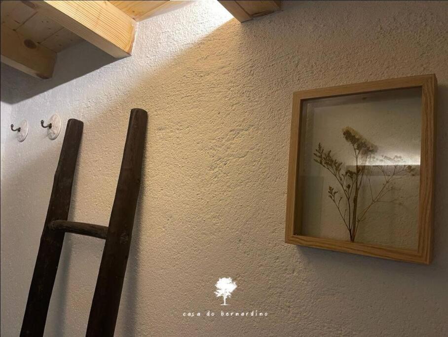 Casa Do Bernardino Villa Cabril  Dış mekan fotoğraf