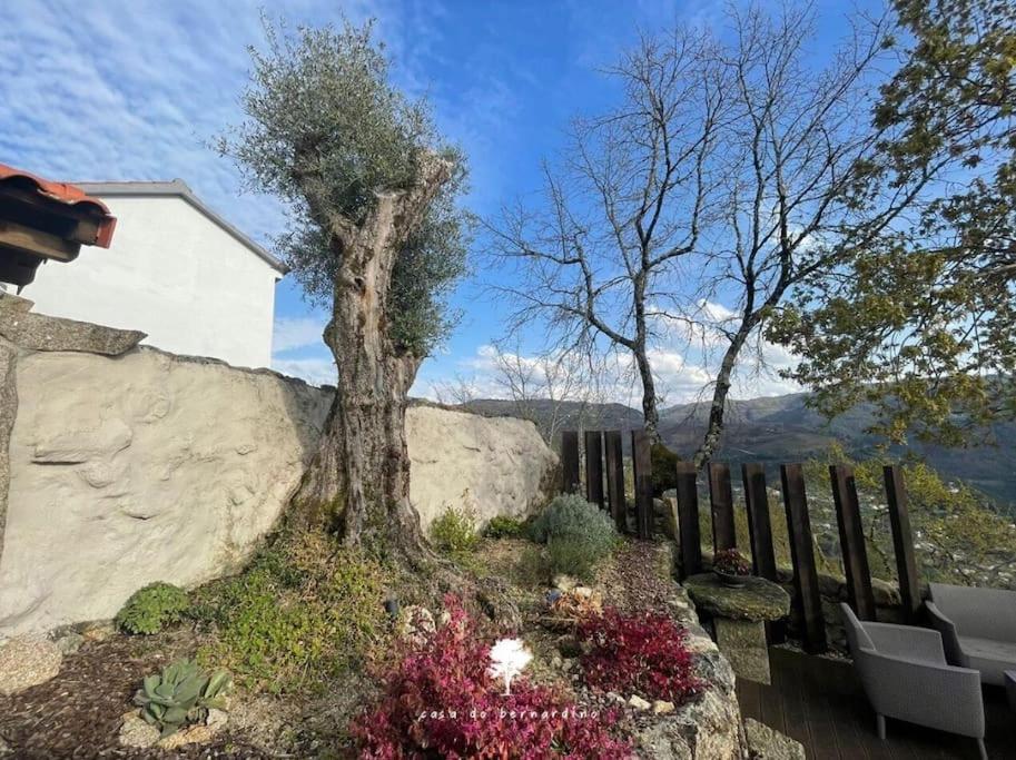Casa Do Bernardino Villa Cabril  Dış mekan fotoğraf